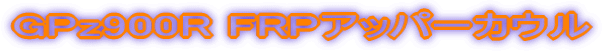 GPz900R FRPAbp[JE